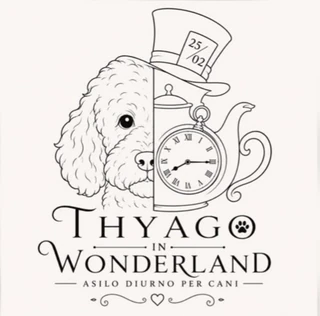 Thyago in Wonderland